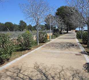 Radweg Richtung Santa Ponsa