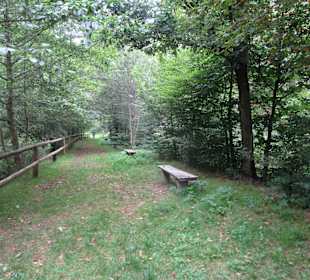  Biosphärenerlebniscamp Geiswiese