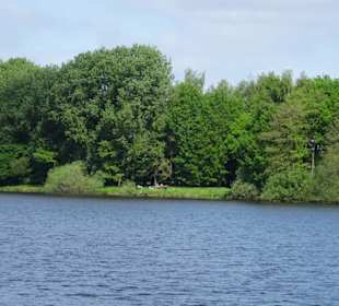 Impressionen vom Rundgang um den Tweelbäker See