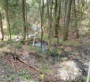 Tegernseer Höhenweg