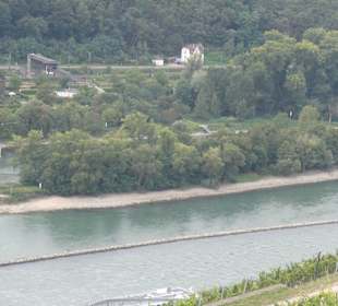 Bei unseren Wanderungen bei Rüdesheim