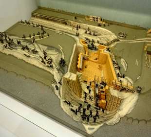 Exponate des Museums