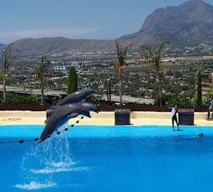 Ausflug zum Meerestiere-Park Mundomar