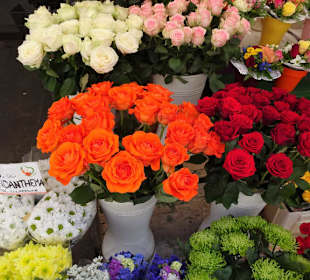 Rundgang über den Obstmarkt Bozen