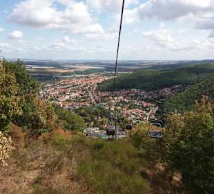 Thale
