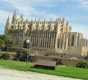 Cathedrale Palma