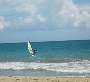 Surfer