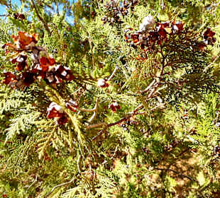 Landschaft auf der Rundreise 
