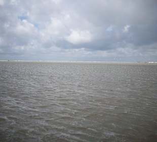 Ebbe