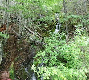 Kleiner versteckter Wasserfall