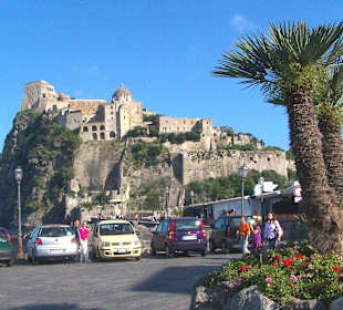 Stolze Festung hinter Palmen