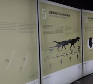 Dinosaurier Museum Altmühltal