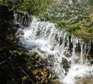 Wanderung durch die Kleine Luxemburger Schweiz