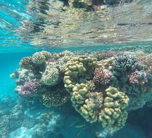 Schnorcheln Marsa Alam