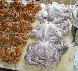 Fischmarkt in Stone Town