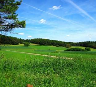 Wanderung zum Bärenfels