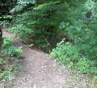 Burg Alt-Lichtenstein