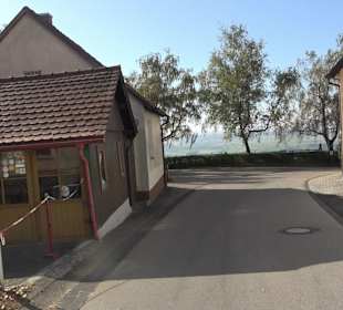 Bussen Schöpfungsweg Offingen