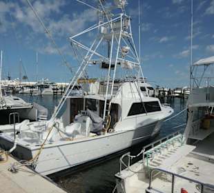 Auf zum Fischen, kann man an jeder Ecke buchen