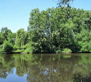 Eindrücke vom Eppendorfer Mühlenteich