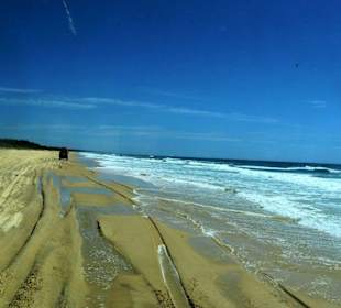 Fraser Island