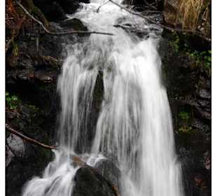 Wasserfall am Feldberg im Schwarzwald