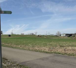 Gomaringer Rundweg - Zu den Giganten im Wald