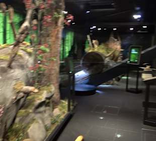 Naturparkzentrum Ruhestein