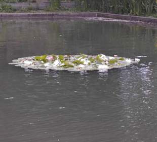 Parkanlage Planten un Blomen