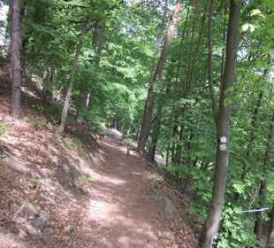 Auf dem Weg zum Hilschweiher