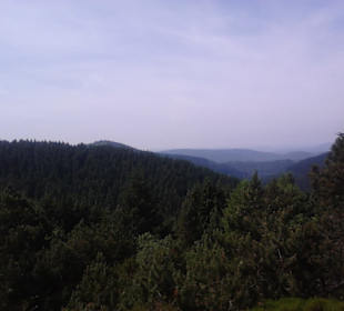 Ausblick auf den Thüringer Wald