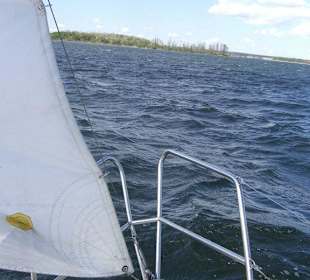 Wyspa kormoranów na horyzoncie!