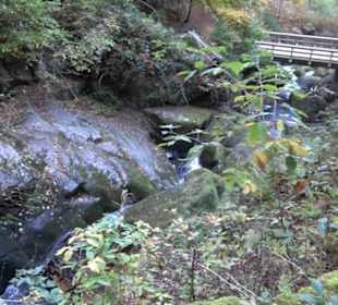 Triberger Wasserfälle