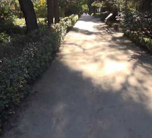 Real Jardín Botánico de Madrid