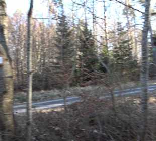 Wanderung rund um den Ochsenweiher