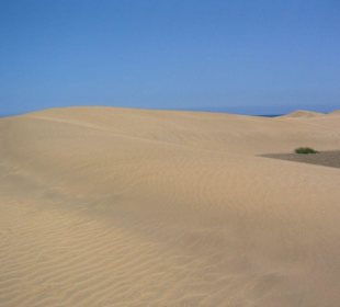 Dünen von Maspalomas