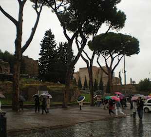 Forum Romanum