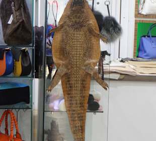 Pupilek... można go nawet kupić