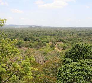 Sigiriya