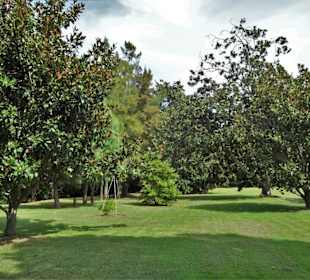 Impressionen aus dem Jardin des Plantes
