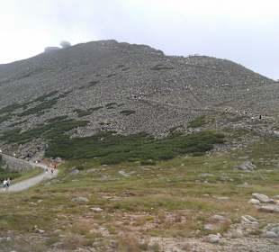 Pohled od Slezského domu