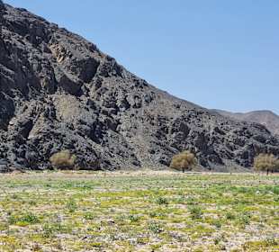 Wadi el Gemal National Park