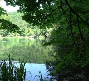 Wiesaztal Gönningen