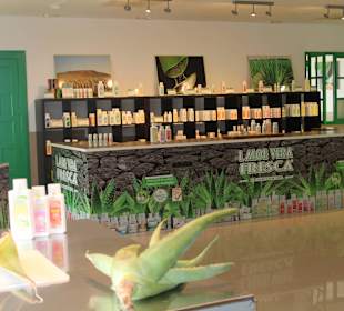 Aloe Vera Infocenter Lanzarote - Yaiza