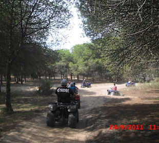 Quadtour