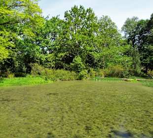 Eindrücke vom Rundgang durch den Berggarten