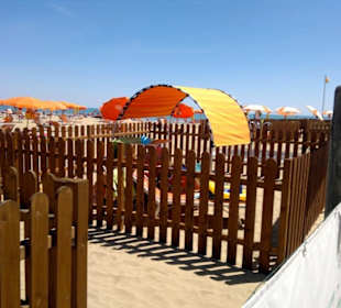 Zellen für die läufigen Hunde