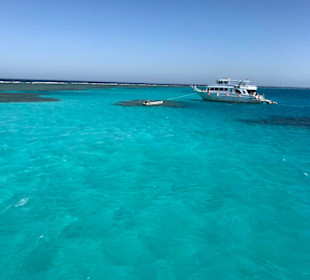 Sataya