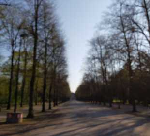 Hofgarten Düsseldorf