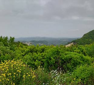 Inselrundfahrt Korfu